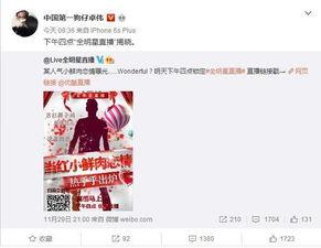 今日恋情爆料新闻,当红明星甜蜜牵手，恋情细节引热议  第3张